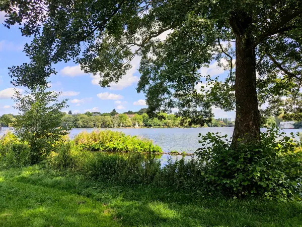 202308200-48 - Außenalster, Hamburg, Deutschland