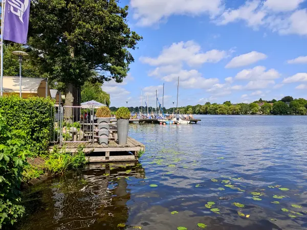 202308200-49 - Außenalster, Hamburg, Deutschland
