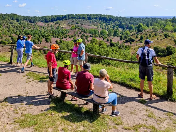 202308210-16 - Aussichtspunkt am Totengrund, Lüneburger Heide, Niedersachsen, Deutschland