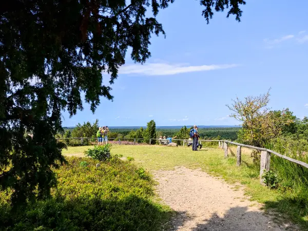 202308210-37 - Aussichtspunkt am Wilseder Berg bei Wilsede, Lüneburger Heide, Niedersachsen, Deutschland