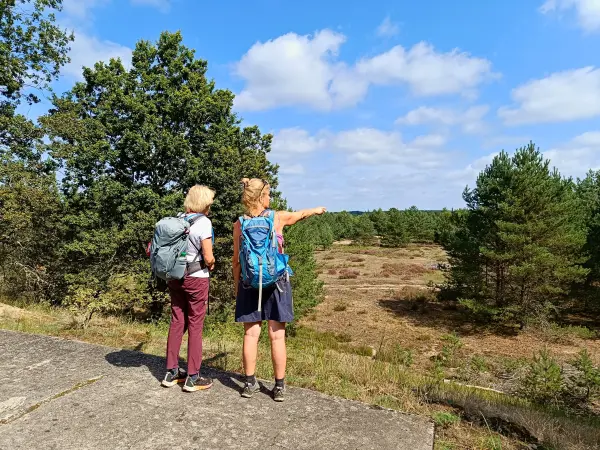 202508160-08 - Aussichtspunkt auf die Heideflächen in der Kleinen Schorfheide, Uckermark, Brandenburg, Deutschland
