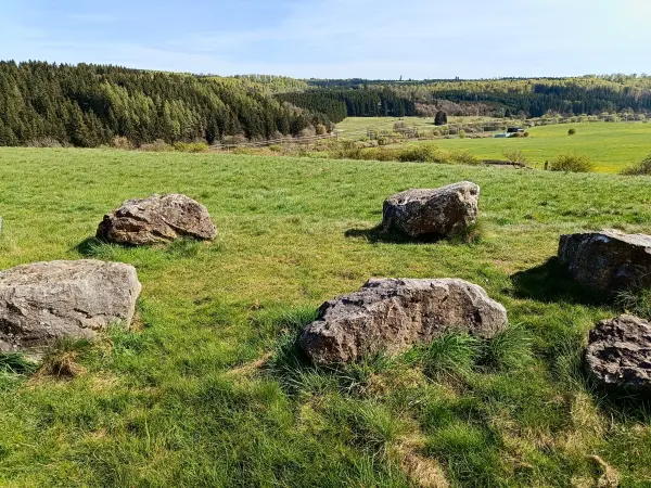 202604270-32 - Aussichtspunkt bei Nettersheim, Eifel, Nordrhein-Westfalen, Deutschland