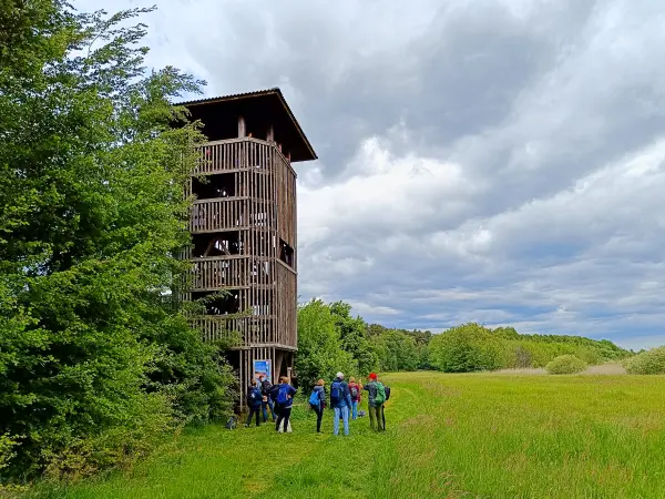 202505170-25 - Aussichtsturm am Groß Schauener See, Seenland Oder-Spree, Brandenburg, Deutschland