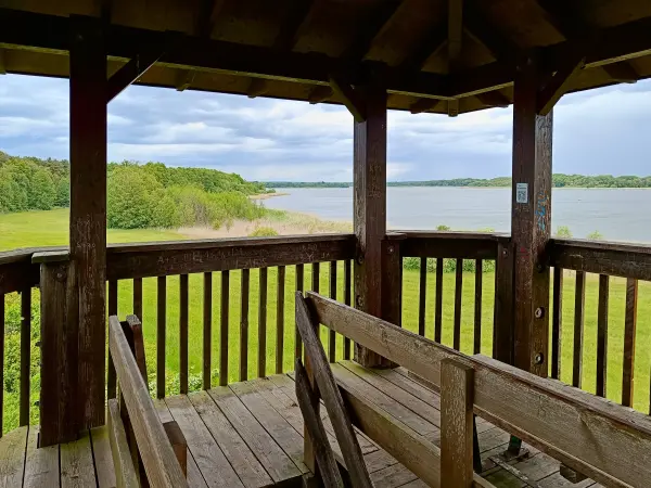 202505170-28 - Aussichtsturm am Groß Schauener See, Seenland Oder-Spree, Brandenburg, Deutschland