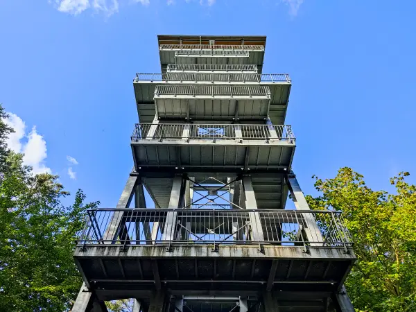 202309150-23 - Aussichtsturm am Senftenberger See zwischen Großkoschen und Niemtsch, Lausitz, Brandenburg, Deutschland