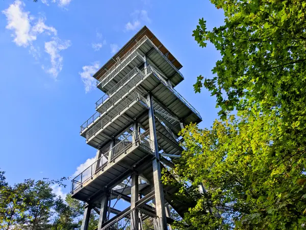 202309150-24 - Aussichtsturm am Senftenberger See zwischen Großkoschen und Niemtsch, Lausitz, Brandenburg, Deutschland