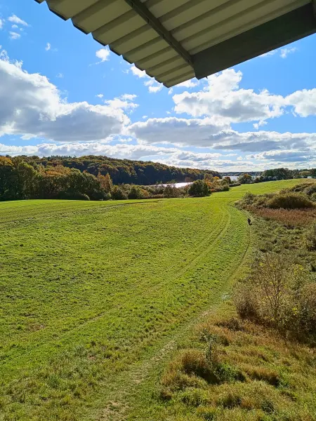 202510180-14 - Aussichtsturm am Tiefwarensee bei Amsee, Mecklenburgische Seenplatte, Mecklenburg-Vorpommern, Deutschland