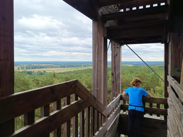 202609040-28 - Aussichtsturm auf dem Vorderen Löwendorfer Berg bei Löwendorf, Fläming, Brandenburg, Deutschland