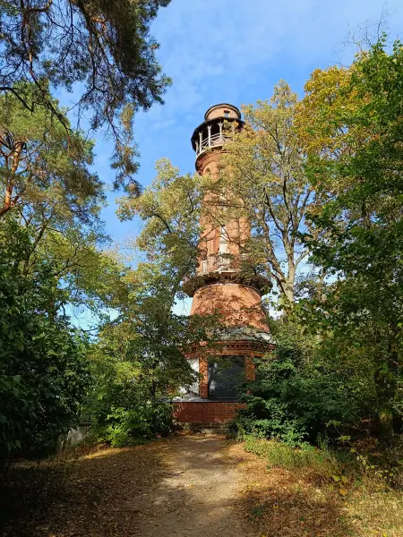 202609190-23 - Aussichtsturm bei Bad Freienwalde, Seenland Oder-Spree, Brandenburg, Deutschland