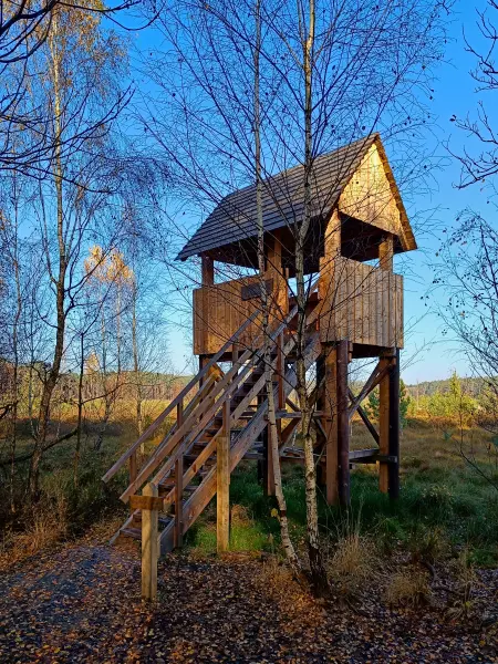 202511070-07 - Aussichtsturm im Müritz-Nationalpark bei Serrahn, Mecklenburgische Seenplatte, Mecklenburg-Vorpommern, Deutschland