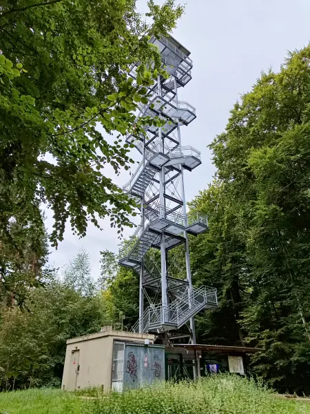 202508230-11 - Aussichtsturm in den Rauener Bergen, Seenland Oder-Spree, Brandenburg, Deutschland