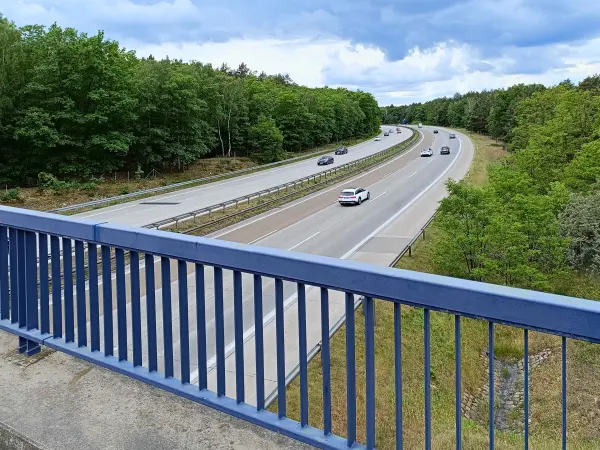 202405180-07 - Autobahnbrücke in der Parforceheide, Brandenburg, Deutschland