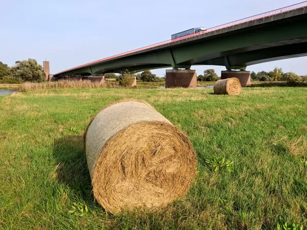 202310110-30 - Autobahnbrücke über die Elbe bei Vockerode, Anhalt-Dessau-Wittenberg, Sachsen-Anhalt, Deutschland