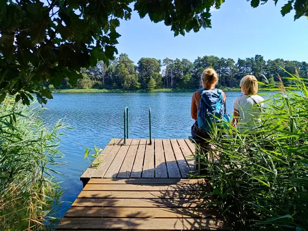 202508160-18 - Badesteg am Großen Mahlgastsee bei Röddelin, Uckermark, Brandenburg, Deutschland