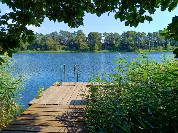 202508160-19 - Badesteg am Großen Mahlgastsee bei Röddelin, Uckermark, Brandenburg, Deutschland