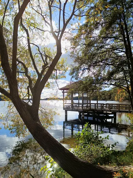 202510180-11 - Badesteg am Tiefwarensee bei Amsee, Mecklenburgische Seenplatte, Mecklenburg-Vorpommern, Deutschland