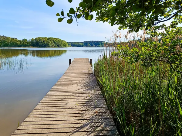 202505130-15 - Badestelle am Dambecker See im Müritz-Nationalpark bei Pieversdorf, Mecklenburgische Seenplatte, Mecklenburg-Vorpommern, Deutschland