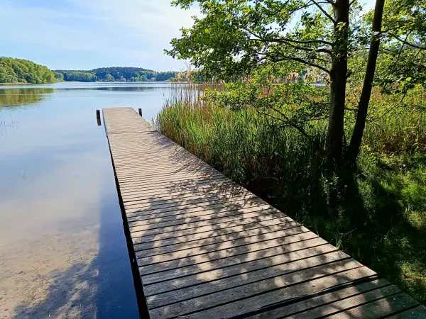 202505130-16 - Badestelle am Dambecker See im Müritz-Nationalpark bei Pieversdorf, Mecklenburgische Seenplatte, Mecklenburg-Vorpommern, Deutschland
