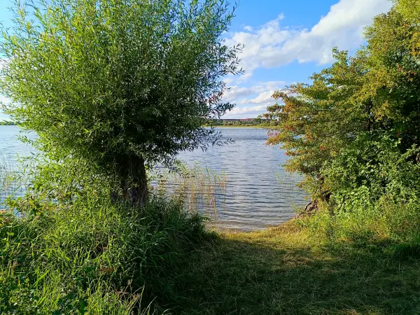 202508200-31 - Badestelle am Feisnecksee im Müritz-Nationalpark, Mecklenburgische Seenplatte, Mecklenburg-Vorpommern, Deutschland