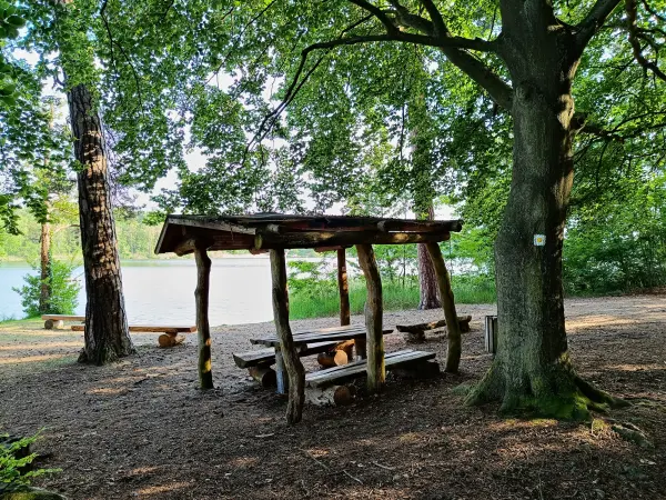 202506110-48 - Badestelle am Haussee bei Himmelpfort, Ruppiner Seenland, Brandenburg, Deutschland