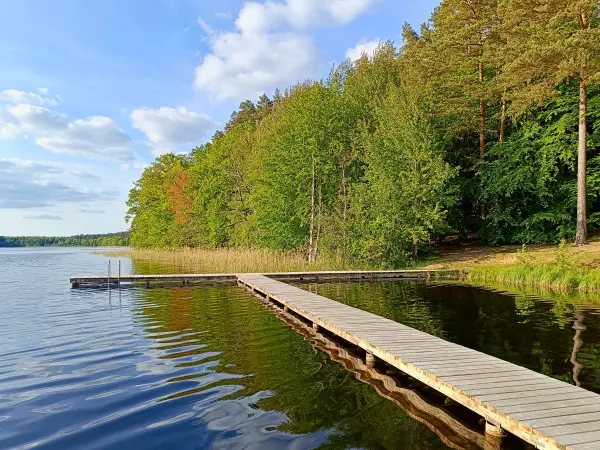 202505130-33 - Badestelle am Mühlensee im Müritz-Nationalpark, Mecklenburgische Seenplatte, Mecklenburg-Vorpommern, Deutschland