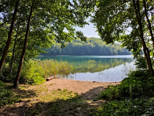 202309110-15 - Badestelle am Peetschsee bei Steinförde, Ruppiner Seenland, Brandenburg, Deutschland