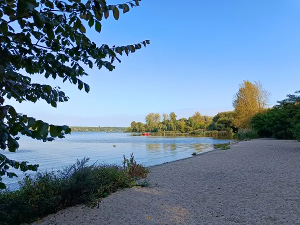 202509270-07 - Badestelle Große Steinlanke an der Havel, Berlin, Deutschland