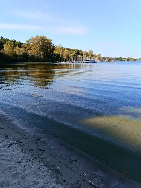 202509270-08 - Badestelle Große Steinlanke an der Havel, Berlin, Deutschland