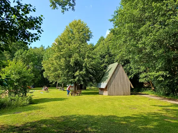 202506110-21 - Badestelle und Biwakplatz am Haussee bei Pian, Ruppiner Seenland, Brandenburg, Deutschland