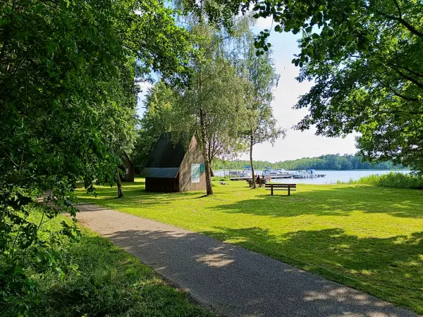 202506110-22 - Badestelle und Biwakplatz am Haussee bei Pian, Ruppiner Seenland, Brandenburg, Deutschland