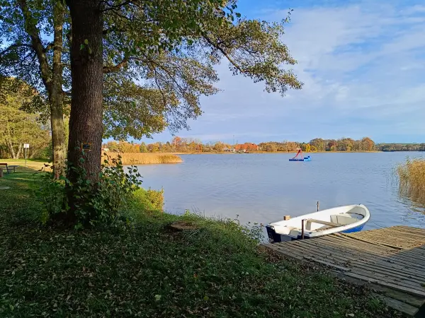 202511050-10 - Badewiese am Groß Labenzer See bei Klein Labenz, Mecklenburgische Seenplatte, Mecklenburg-Vorpommern, Deutschland