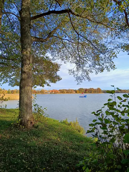 202511050-11 - Badewiese am Groß Labenzer See bei Klein Labenz, Mecklenburgische Seenplatte, Mecklenburg-Vorpommern, Deutschland