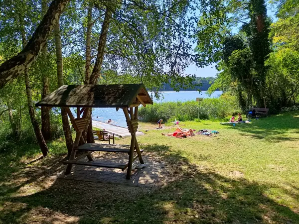 202508160-22 - Badewiese am Großen Mahlgastsee bei Röddelin, Uckermark, Brandenburg, Deutschland