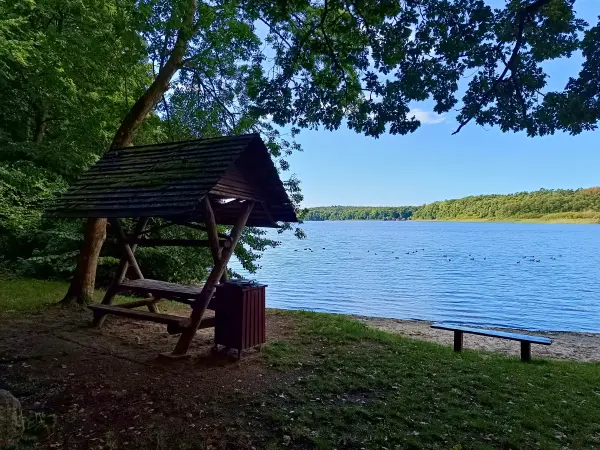 202509120-42 - Badewiese am Petersdorfer See, Mecklenburgische Seenplatte, Mecklenburg-Vorpommern, Deutschland