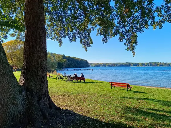 202610190-15 - Badewiese am Scharmützelsee bei Diensdorf, Seenland Oder-Spree, Brandenburg, Deutschland
