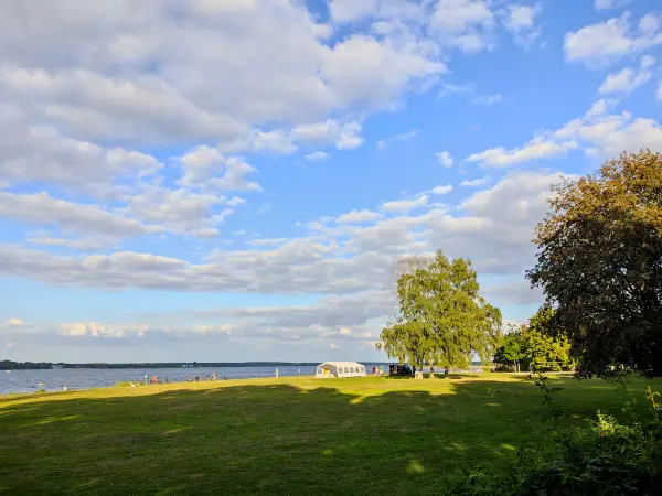 202309150-34 - Badewiese am Senftenberger See bei Niemtsch, Lausitz, Brandenburg, Deutschland