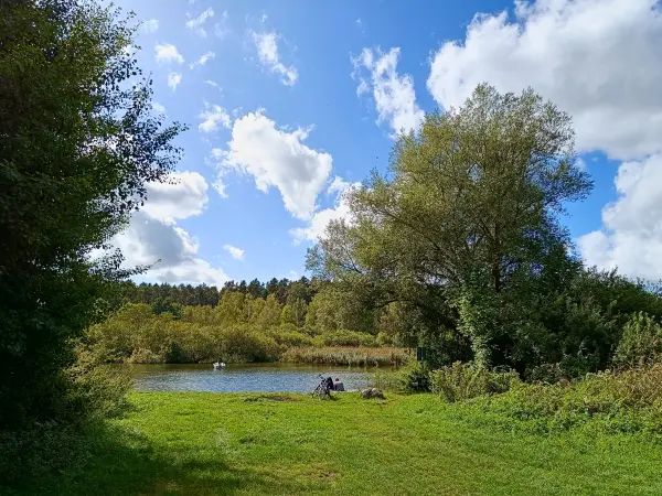202509120-15 - Badewiese bei der Inselstadt Malchow, Mecklenburgische Seenplatte, Mecklenburg-Vorpommern, Deutschland
