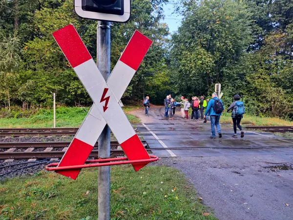 202310140-02 - Bahnübergang bei Bergholz, Potsdam, Brandenburg, Deutschland