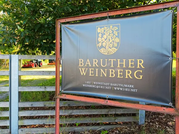 202608080-16 - Baruther Weinberg bei Baruth, Fläming, Brandenburg, Deutschland