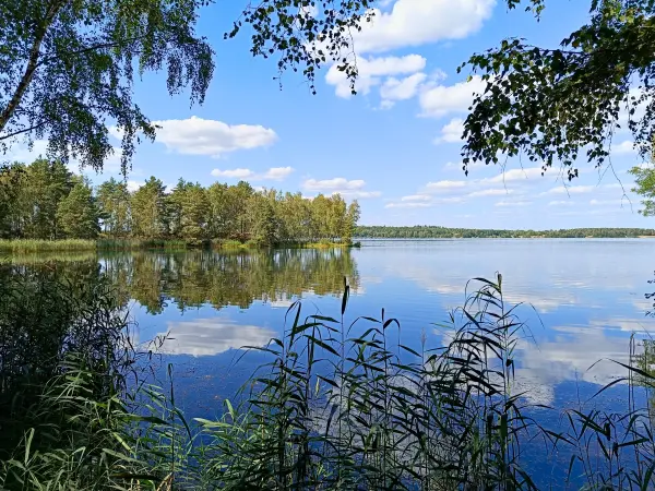 202408260-27 - Bergwitzsee, Anhalt-Dessau-Wittenberg, Sachsen-Anhalt, Deutschland