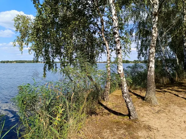 202408260-29 - Bergwitzsee, Anhalt-Dessau-Wittenberg, Sachsen-Anhalt, Deutschland