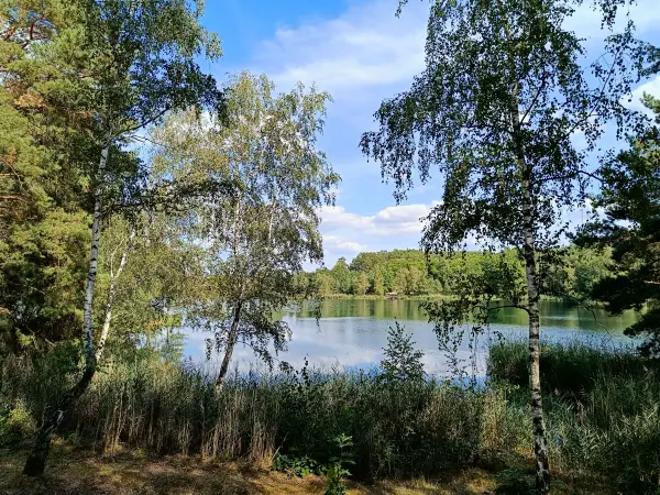 202408260-30 - Bergwitzsee, Anhalt-Dessau-Wittenberg, Sachsen-Anhalt, Deutschland