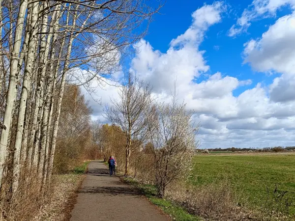 202604060-10 - Berliner Mauerweg bei Blankenfelde, Berlin, Deutschland