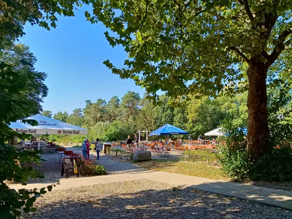 202509270-18 - Biergarten am Grunewaldturm im Grunewald, Berlin, Deutschland