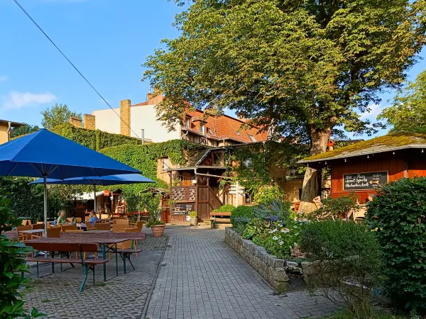202507150-20 - Biergarten in Klein Glienicke, Potsdam, Brandenburg, Deutschland
