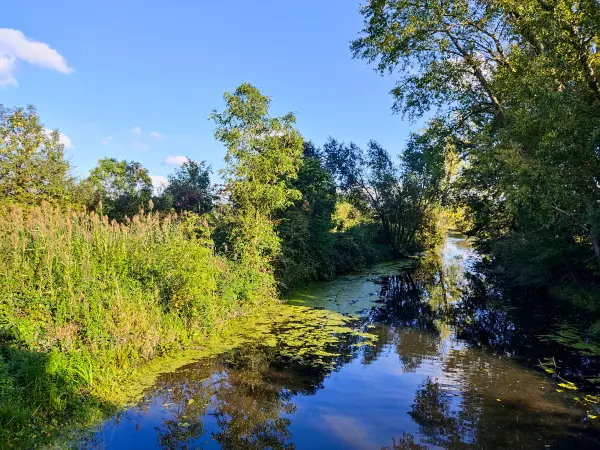 202309241-02 - Bille an der Boberger Niederung, Hamburg, Deutschland
