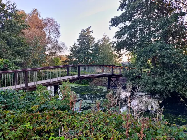 202309241-26 - Bille an der Boberger Niederung, Hamburg, Deutschland