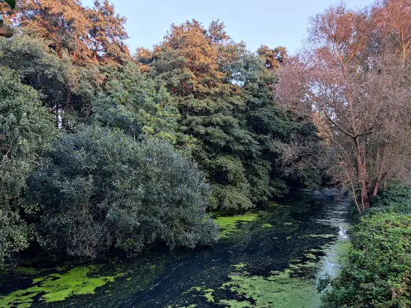 202309241-27 - Bille an der Boberger Niederung, Hamburg, Deutschland