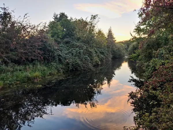 202309241-30 - Bille an der Boberger Niederung, Hamburg, Deutschland