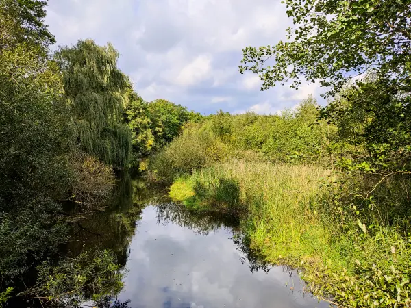 202309230-28 - Bille bei Reinbek, Herzogtum Lauenburg und Stormarn, Schleswig-Holstein, Deutschland